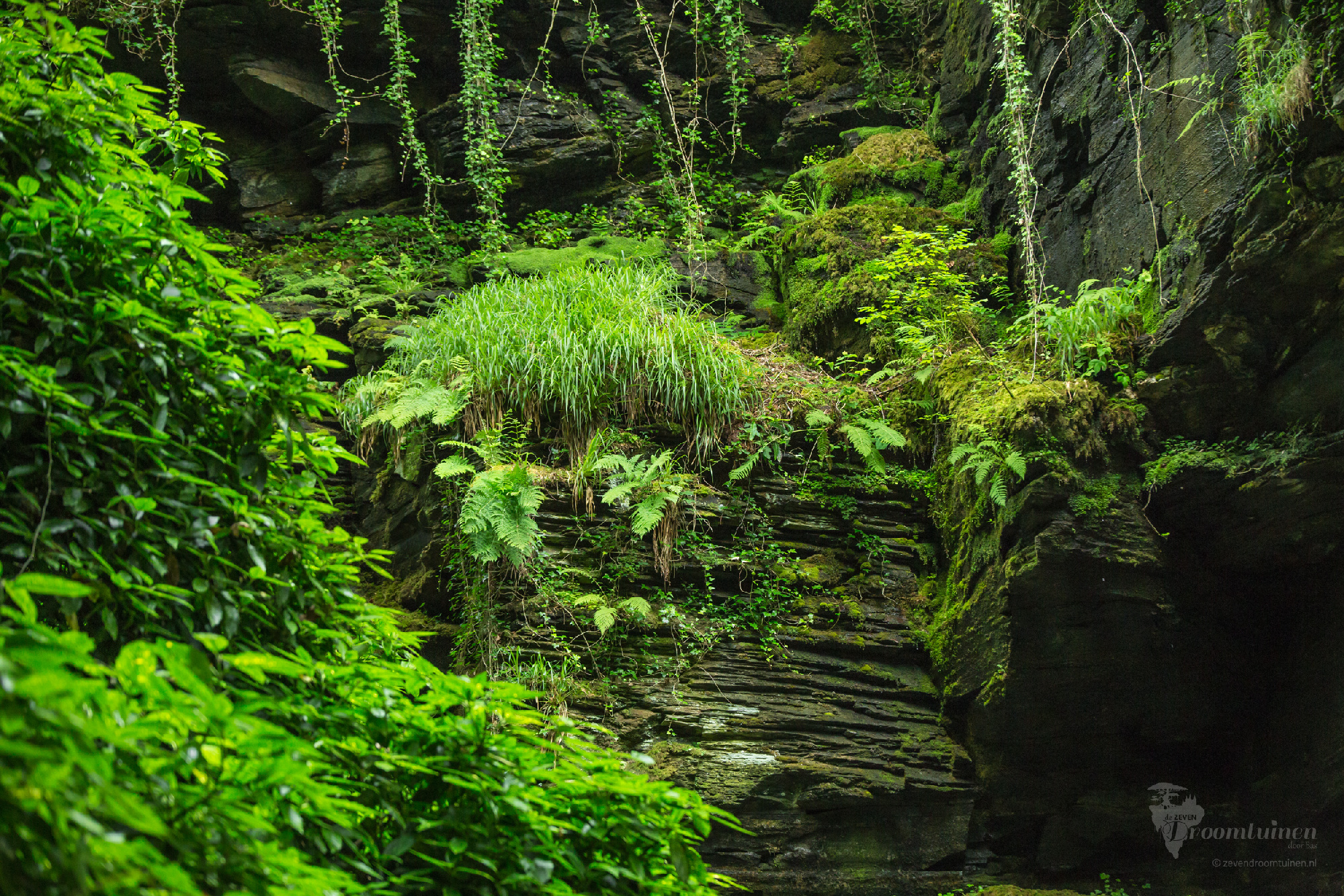 Een sfeerimpressie: Het gevoel wat ik wil ervaren, zodra ik de verborgen tuinen van Trysór binnentrek. Een ingang verscholen achter dichtbegroeide (hangende) planten. Wat voor wereld gaat er hierachter schuil? Deze impressie-foto is genomen bij St Nectan's Waterfall, UK.